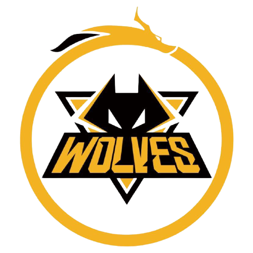 他的归来不 他的归来不