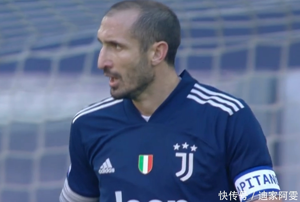 不可动摇的 不可动摇的