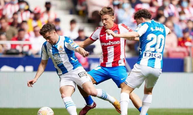 租借于尼瓦 租借于尼瓦